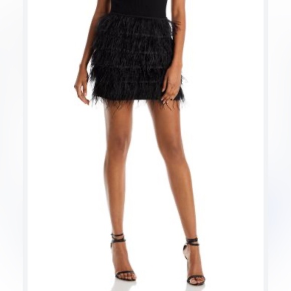 Lucy Paris Dresses & Skirts - Lucy Paris Black Feather Mini Skirt NWT XS